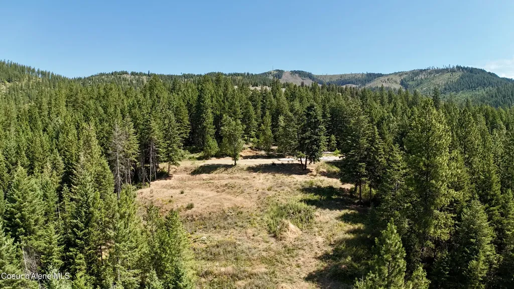 1710 Tower Mountain Road Blanchard ID 83804