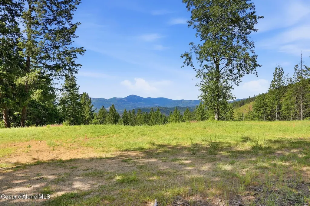 1710 Tower Mountain Road Blanchard ID 83804
