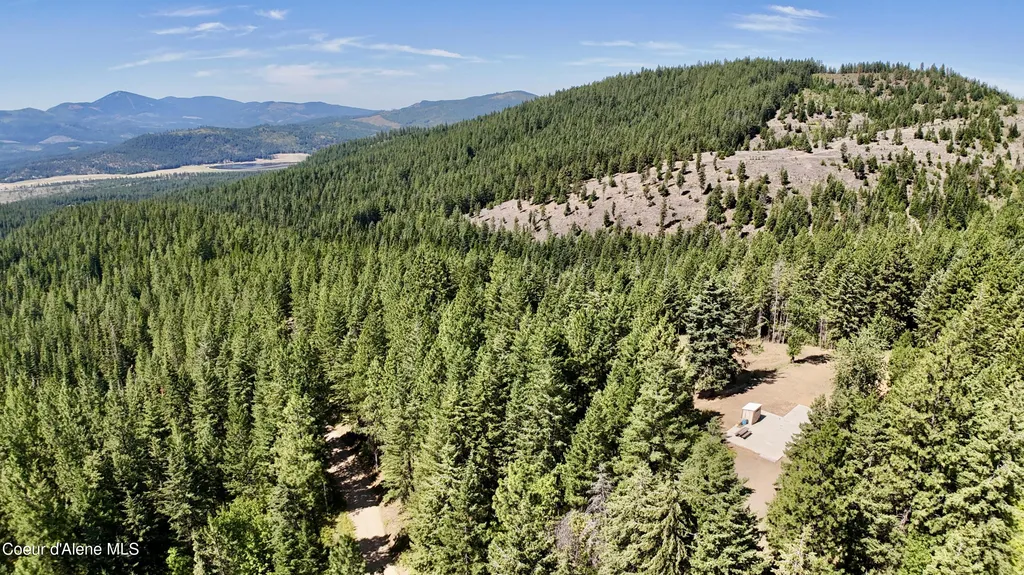 1710 Tower Mountain Road Blanchard ID 83804