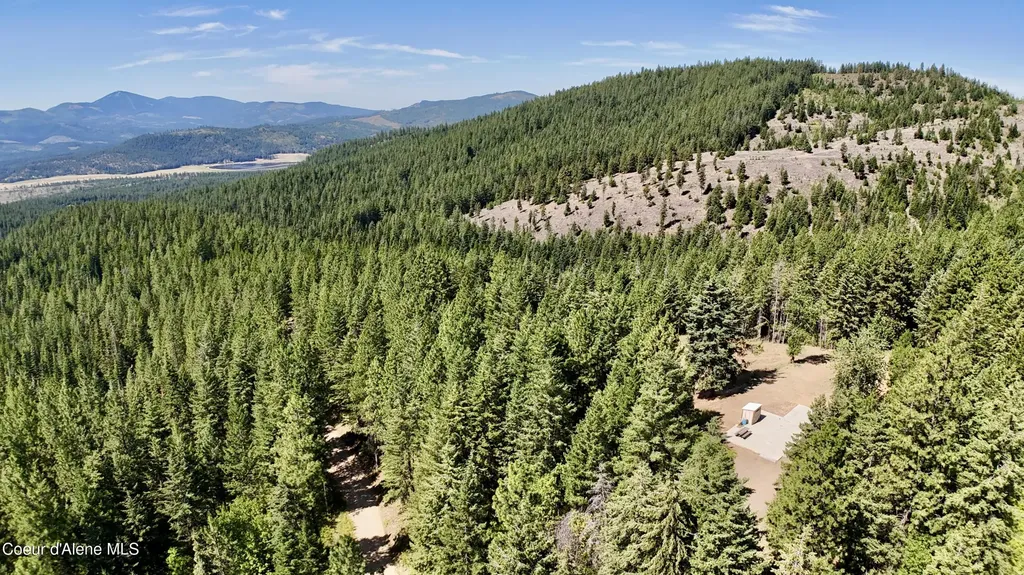 1710 Tower Mountain Road Blanchard ID 83804