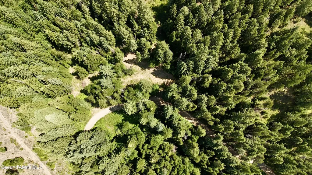 1710 Tower Mountain Road Blanchard ID 83804