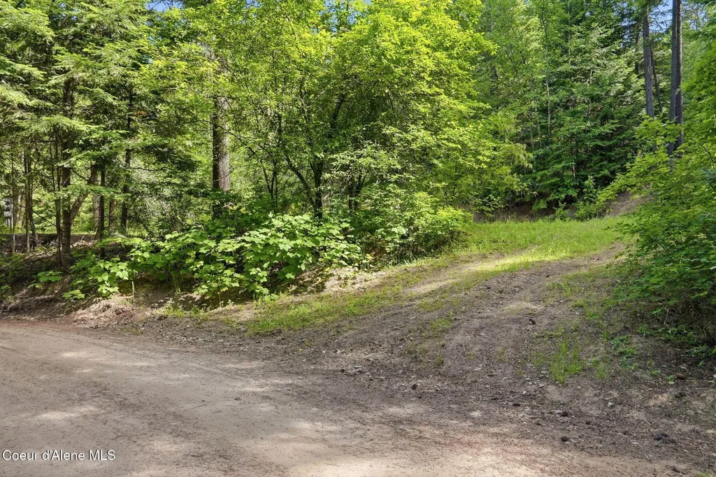 1710 Tower Mountain Road Blanchard ID 83804