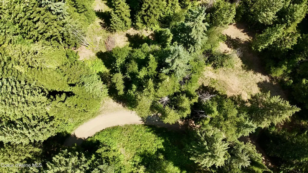 1710 Tower Mountain Road Blanchard ID 83804