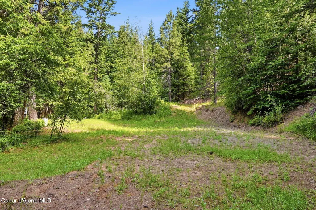 1710 Tower Mountain Road Blanchard ID 83804