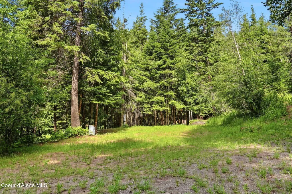 1710 Tower Mountain Road Blanchard ID 83804