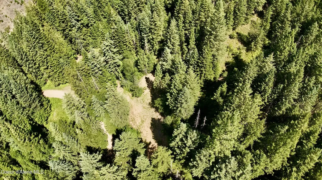 1710 Tower Mountain Road Blanchard ID 83804