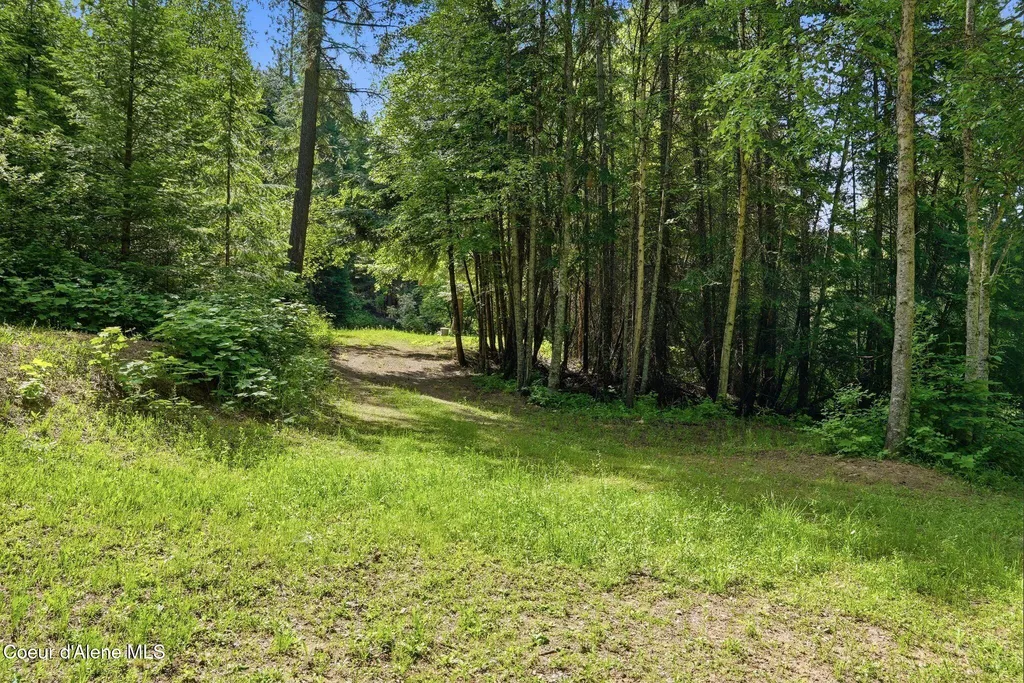 1710 Tower Mountain Road Blanchard ID 83804