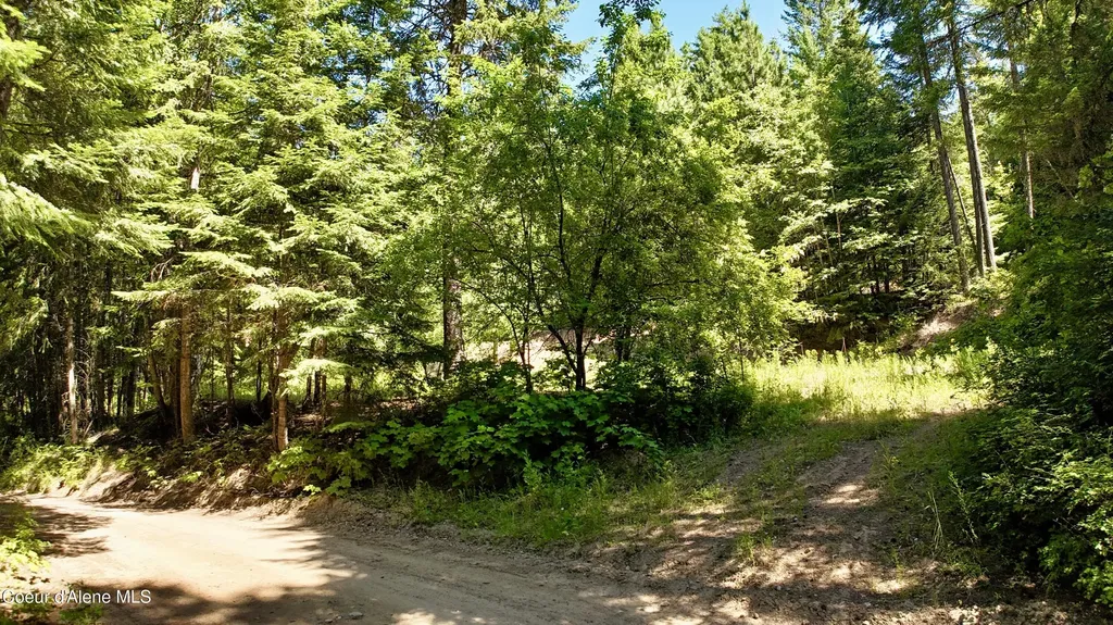 1710 Tower Mountain Road Blanchard ID 83804