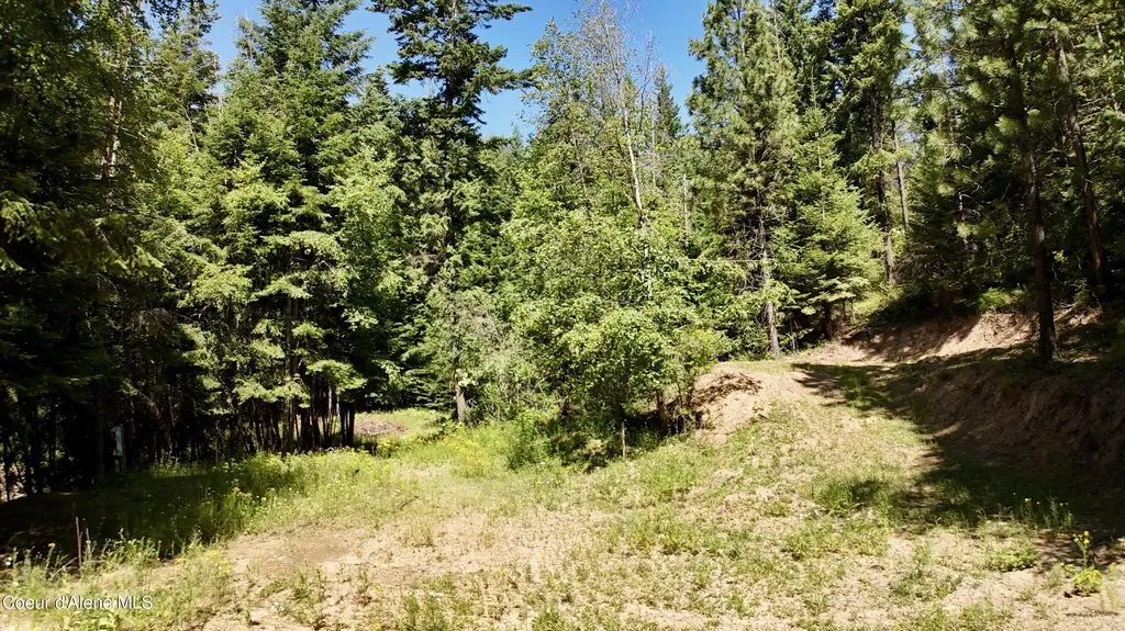 1710 Tower Mountain Road Blanchard ID 83804