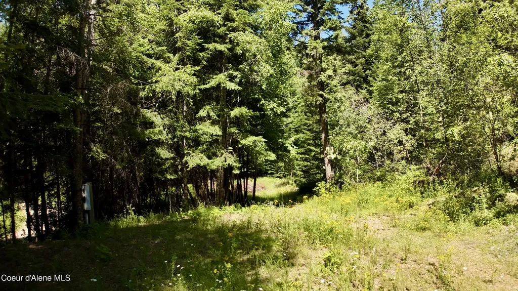 1710 Tower Mountain Road Blanchard ID 83804