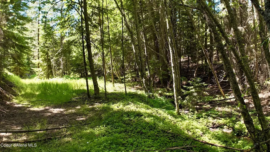 1710 Tower Mountain Road Blanchard ID 83804
