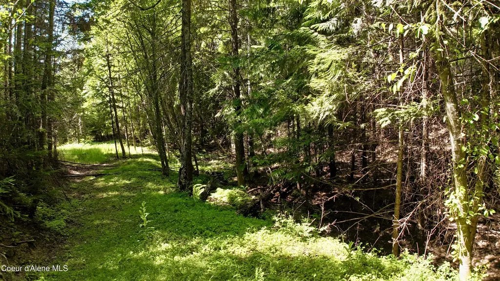 1710 Tower Mountain Road Blanchard ID 83804