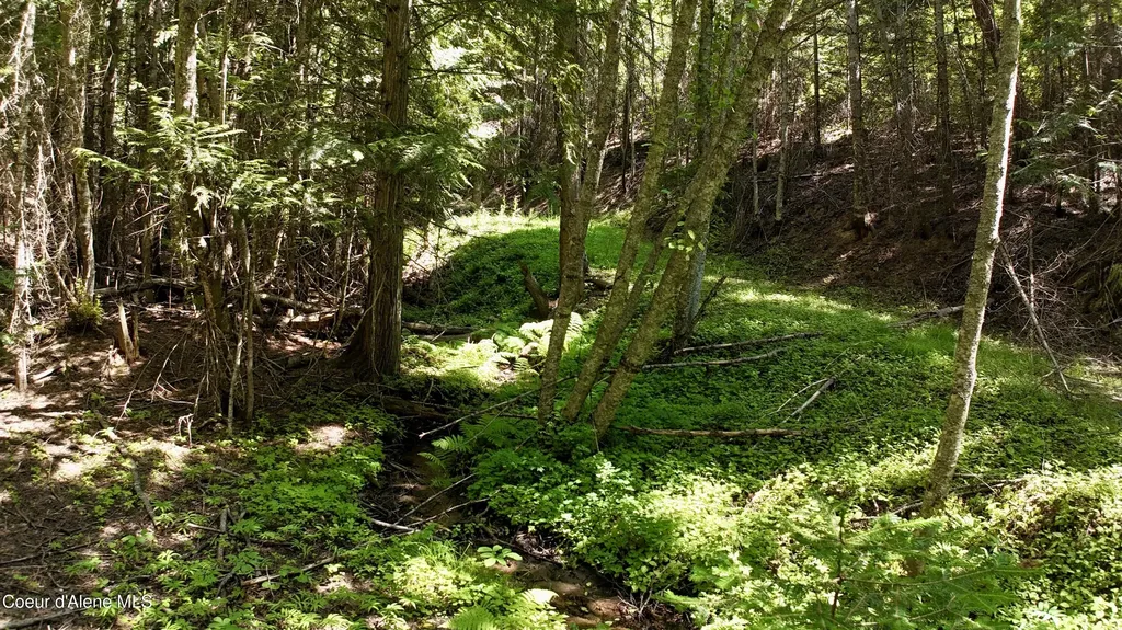 1710 Tower Mountain Road Blanchard ID 83804