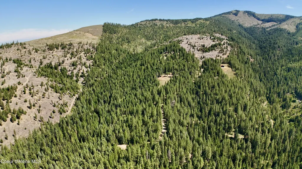 1710 Tower Mountain Road Blanchard ID 83804