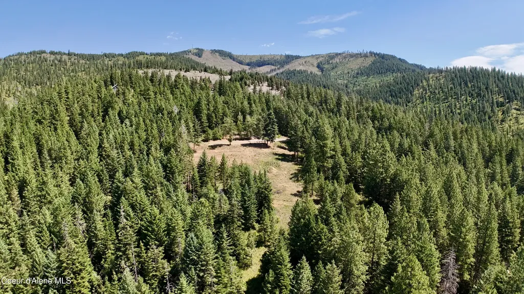 1710 Tower Mountain Road Blanchard ID 83804