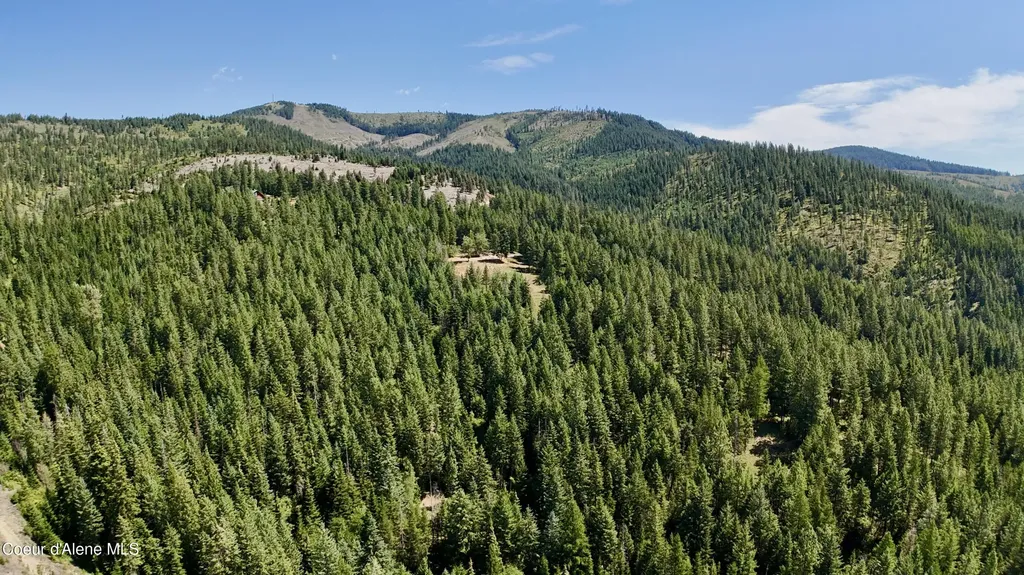 1710 Tower Mountain Road Blanchard ID 83804
