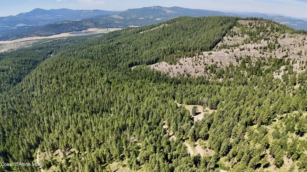 1710 Tower Mountain Road Blanchard ID 83804