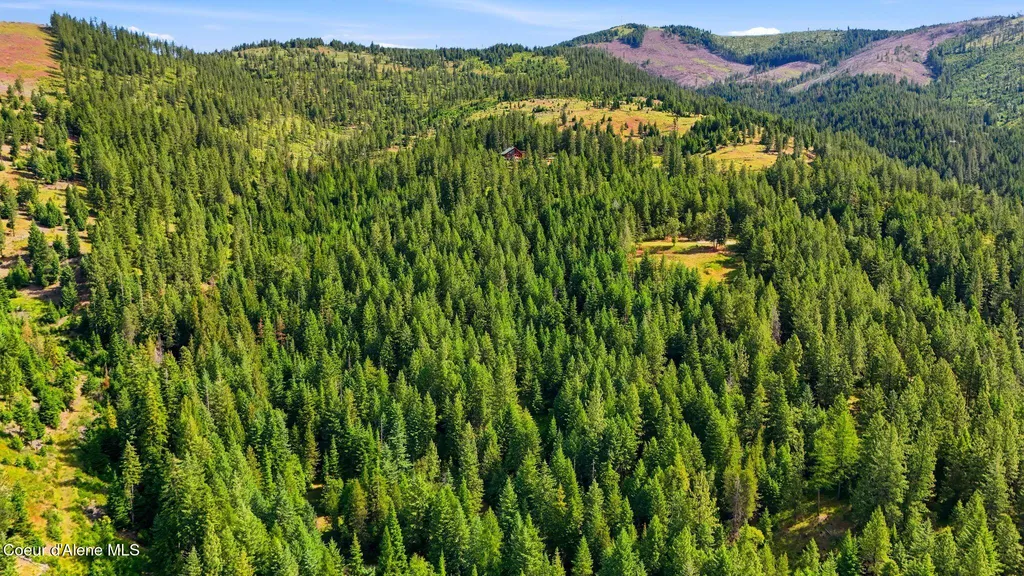 1710 Tower Mountain Road Blanchard ID 83804