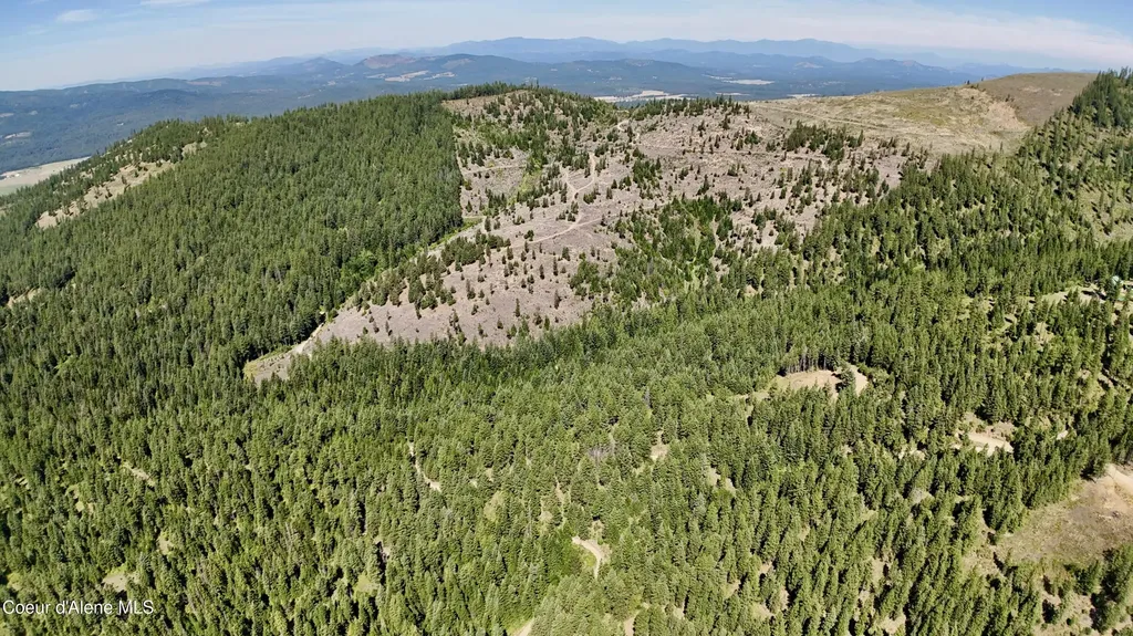1710 Tower Mountain Road Blanchard ID 83804