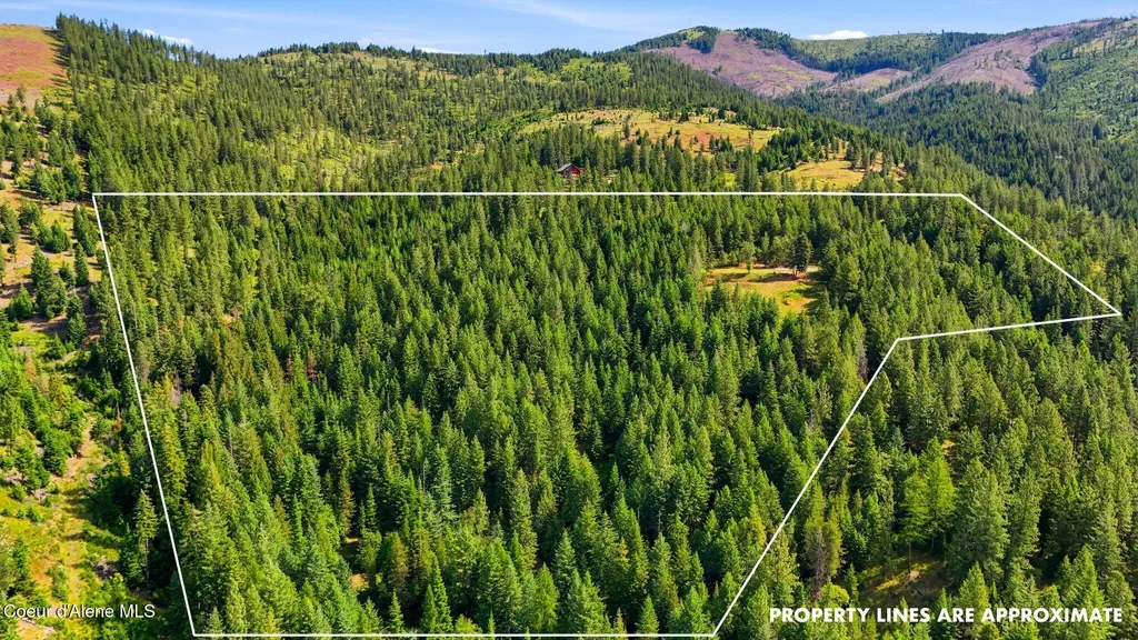 1710 Tower Mountain Road Blanchard ID 83804