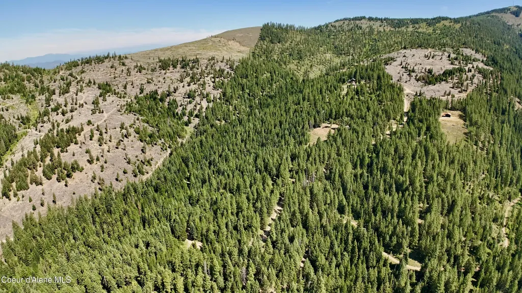 1710 Tower Mountain Road Blanchard ID 83804