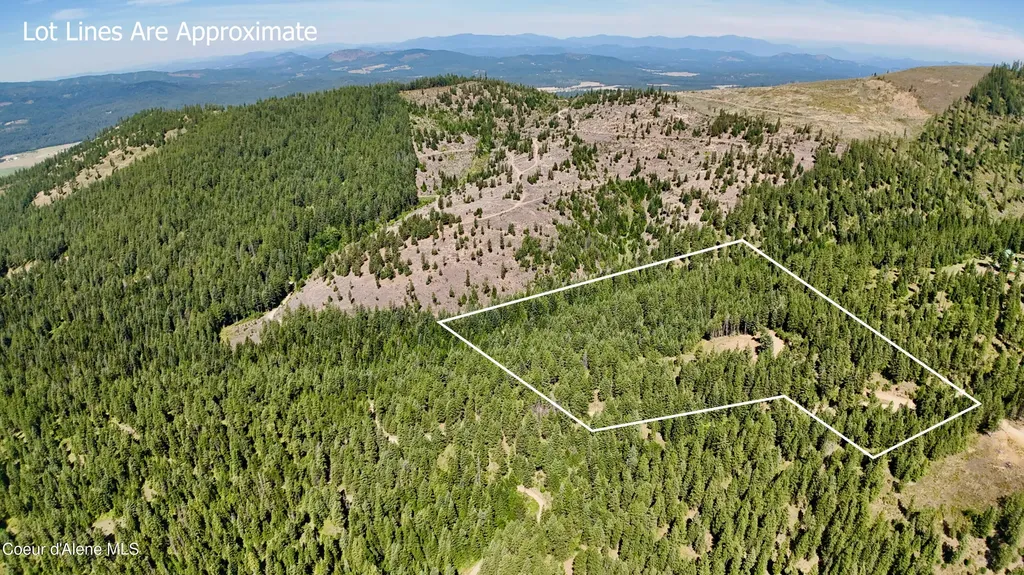 1710 Tower Mountain Road Blanchard ID 83804