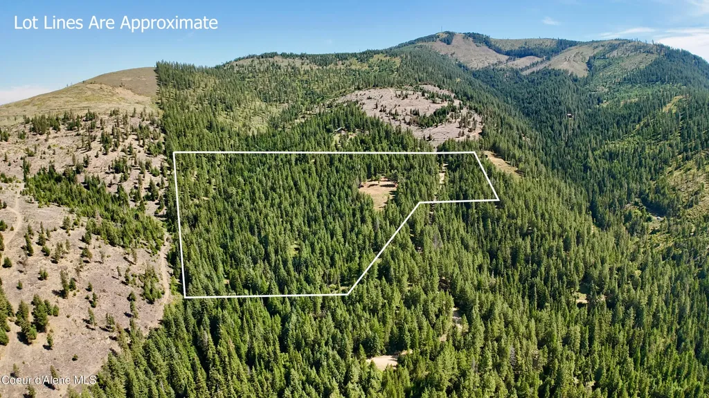 1710 Tower Mountain Road Blanchard ID 83804