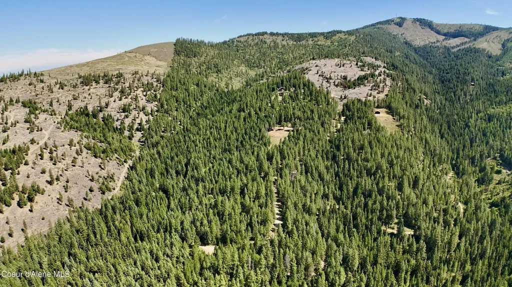 1710 Tower Mountain Road Blanchard ID 83804