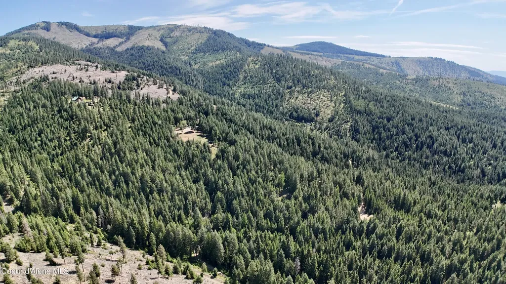1710 Tower Mountain Road Blanchard ID 83804