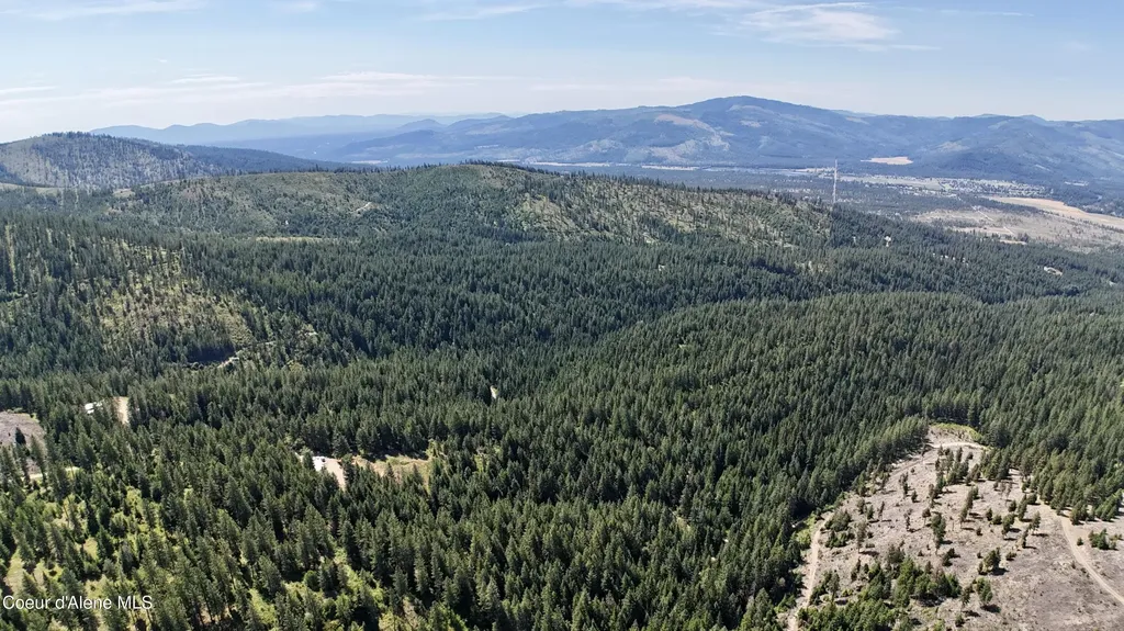 1710 Tower Mountain Road Blanchard ID 83804