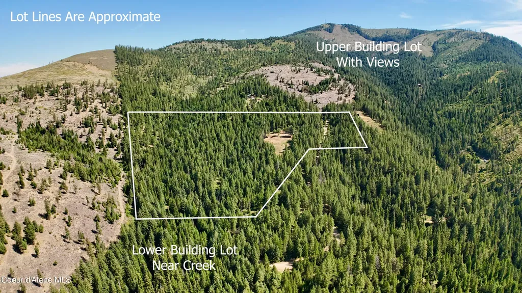 1710 Tower Mountain Road Blanchard ID 83804