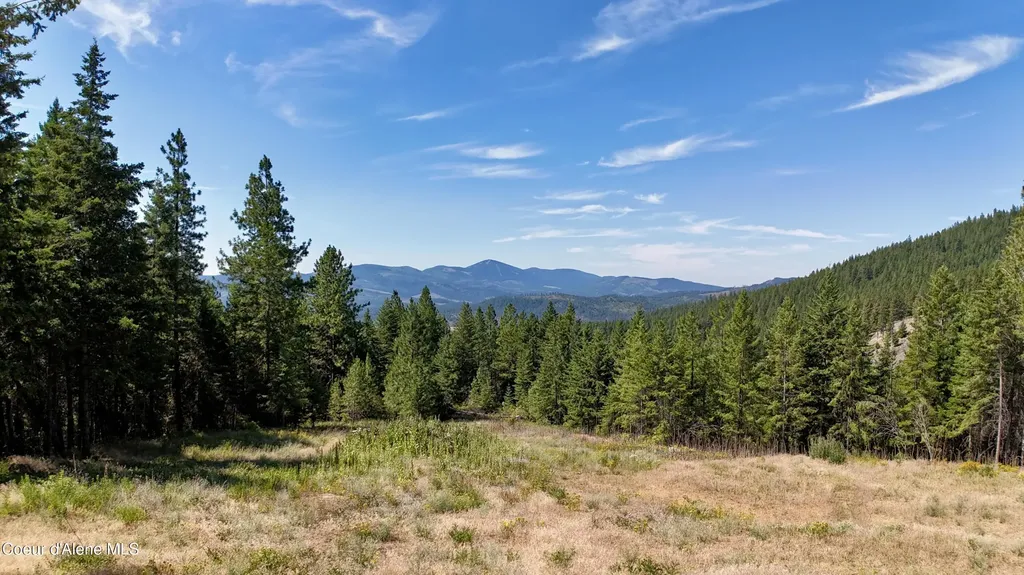 1710 Tower Mountain Road Blanchard ID 83804