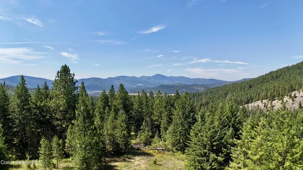1710 Tower Mountain Road Blanchard ID 83804