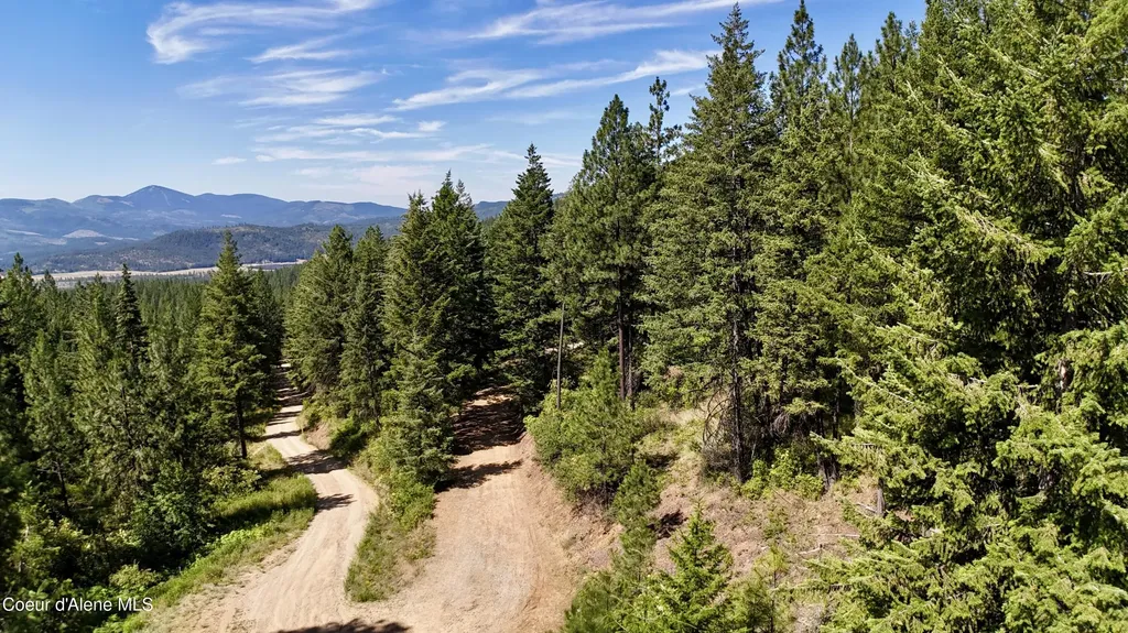 1710 Tower Mountain Road Blanchard ID 83804