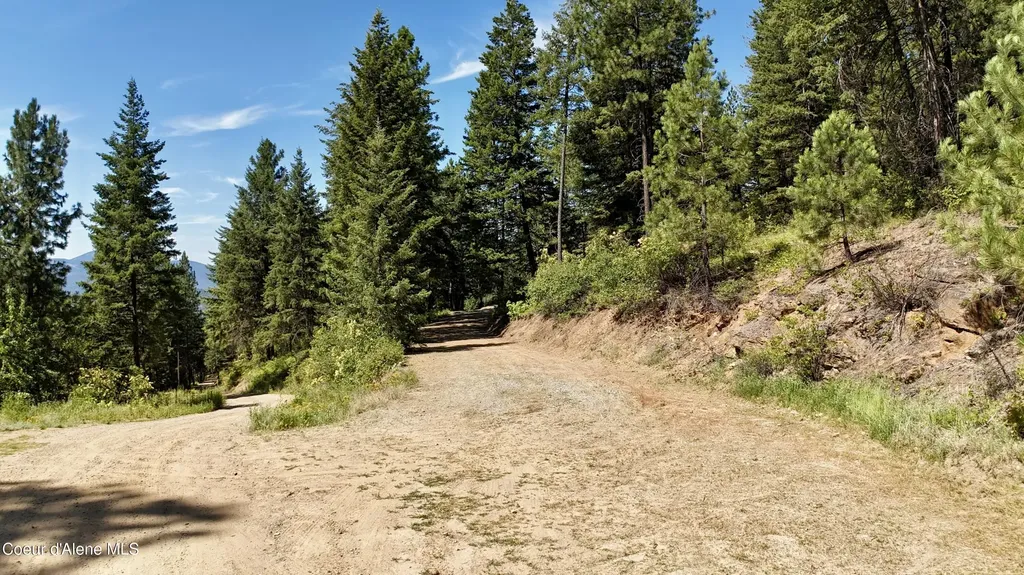 1710 Tower Mountain Road Blanchard ID 83804