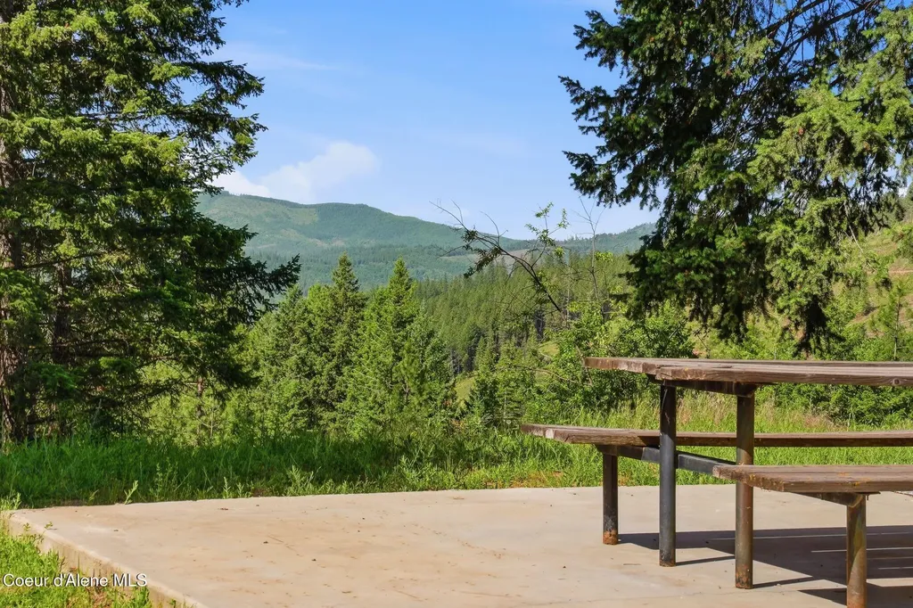 1710 Tower Mountain Road Blanchard ID 83804
