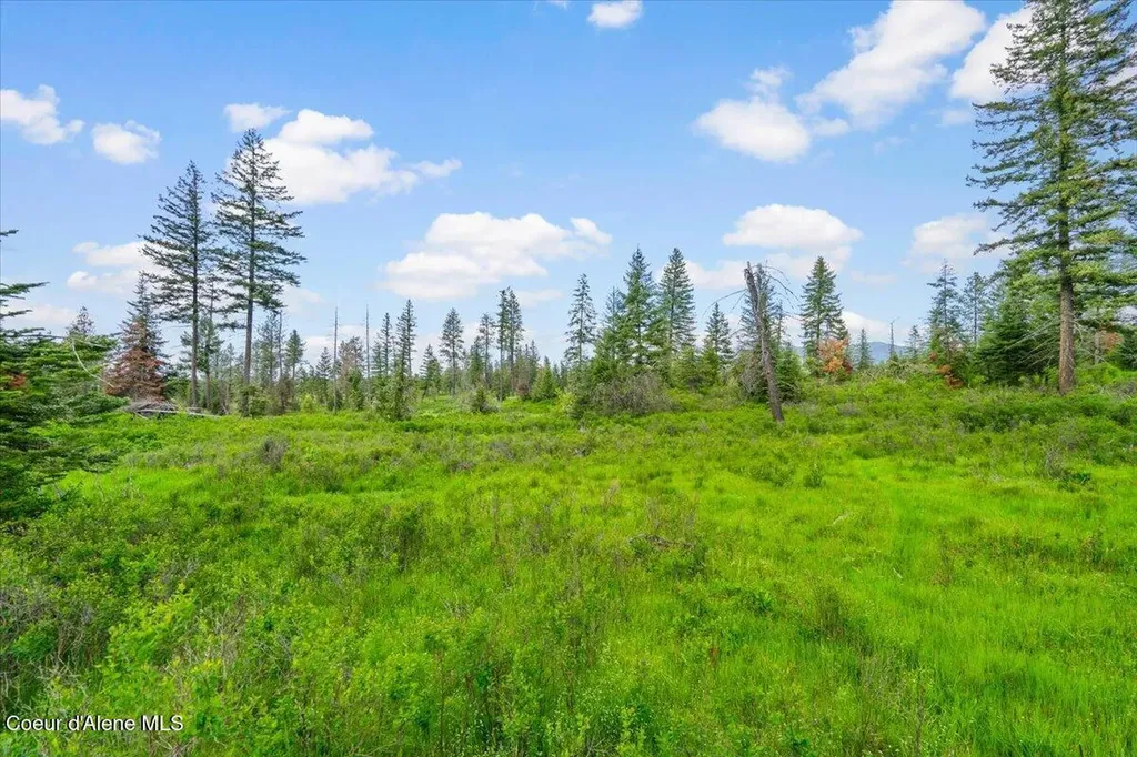 572 Foote Road Tensed ID 83870