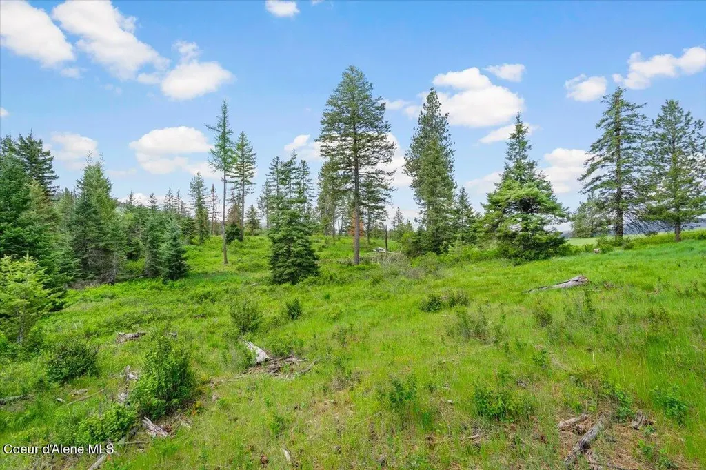 572 Foote Road Tensed ID 83870