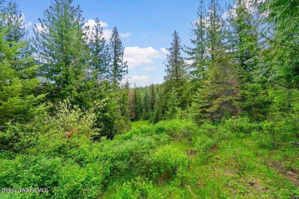 572 Foote Road Tensed ID 83870
