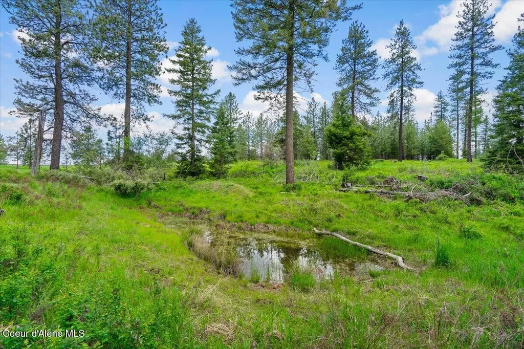 572 Foote Road Tensed ID 83870
