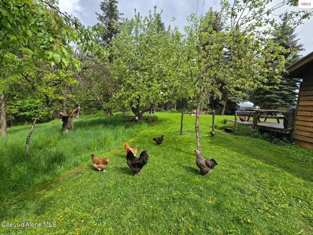 327 Winter Road Moyie Springs ID 83845