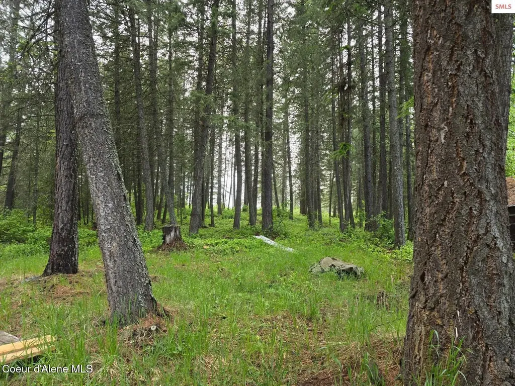 327 Winter Road Moyie Springs ID 83845