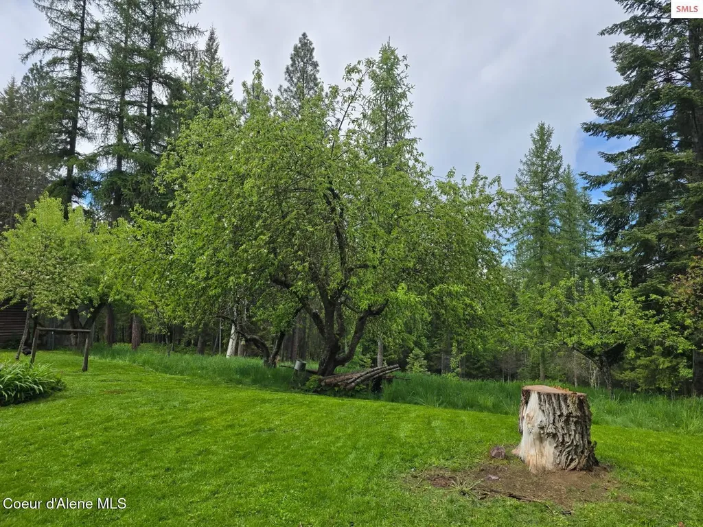 327 Winter Road Moyie Springs ID 83845