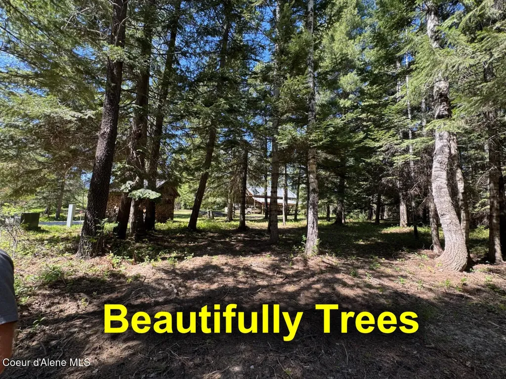 45 Rascals Road Sandpoint ID 83864