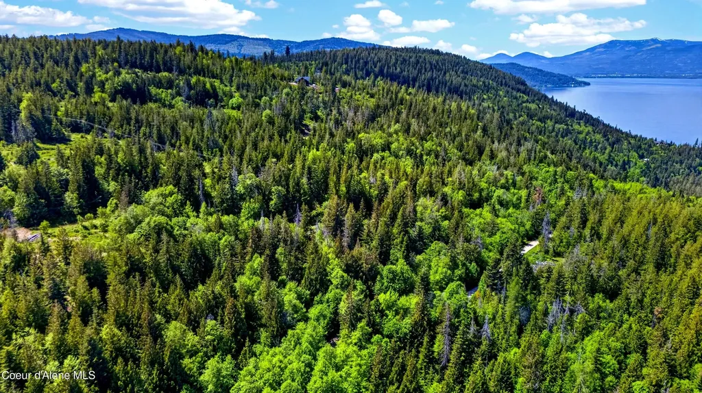 Lot 2 Mikas Estate View Sagle ID 83860