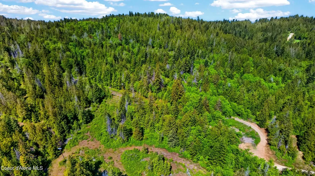 Lot 2 Mikas Estate View Sagle ID 83860