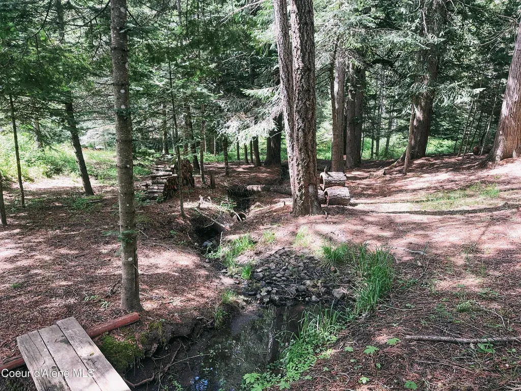 26825 S Cedar Grove Road Harrison ID 83833