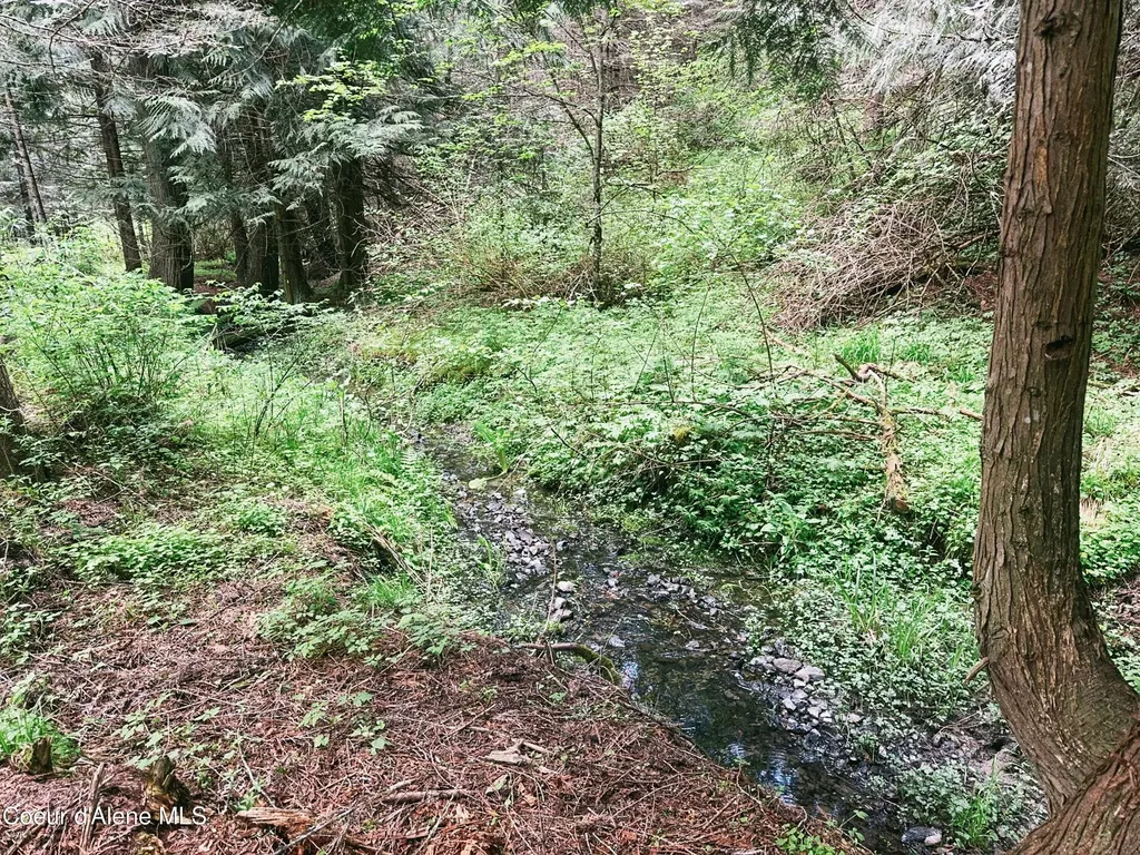 26825 S Cedar Grove Road Harrison ID 83833