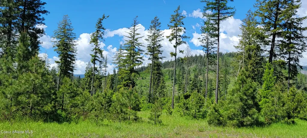 Nna Falcon Ridge Dr Tract 6 Bonners Ferry ID 83805