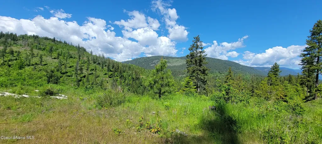 Nna Falcon Ridge Dr Tract 6 Bonners Ferry ID 83805